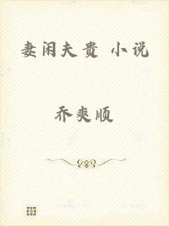 妻闲夫贵 小说